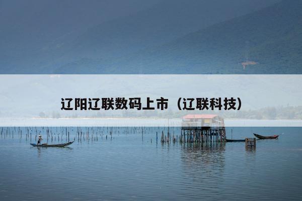 辽阳辽联数码上市（辽联科技）