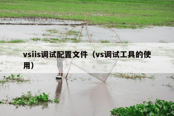 vsiis调试配置文件（vs调试工具的使用）