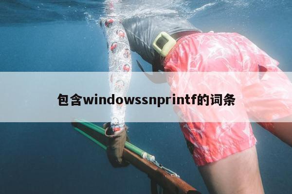 包含windowssnprintf的词条