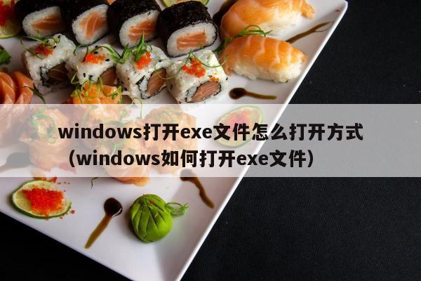 windows打开exe文件怎么打开方式（windows如何打开exe文件）