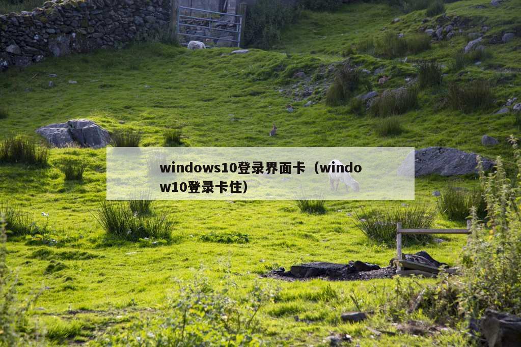 windows10登录界面卡（window10登录卡住）