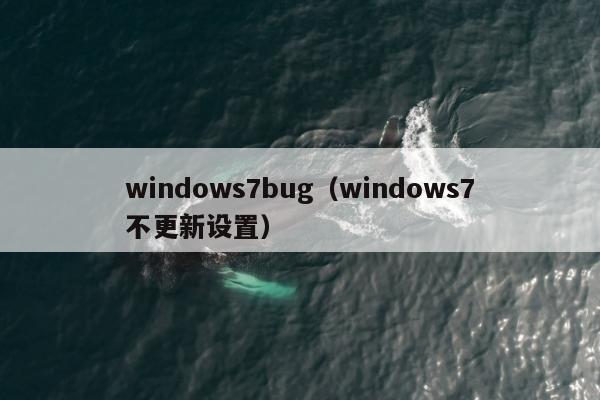 windows7bug（windows7不更新设置）