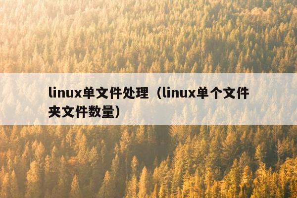 linux单文件处理（linux单个文件夹文件数量）