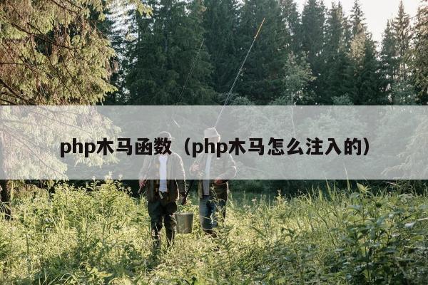 php木马函数（php木马怎么注入的）