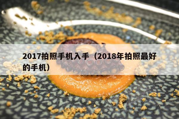 2017拍照手机入手（2018年拍照最好的手机）