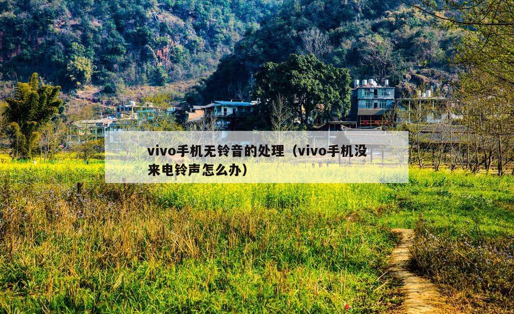 vivo手机无铃音的处理（vivo手机没来电铃声怎么办）