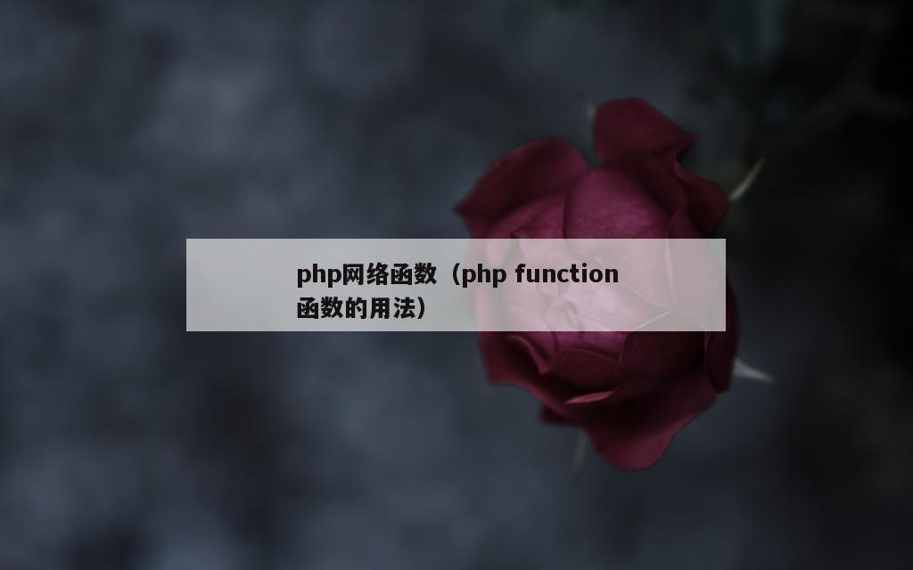 php网络函数（php function函数的用法）