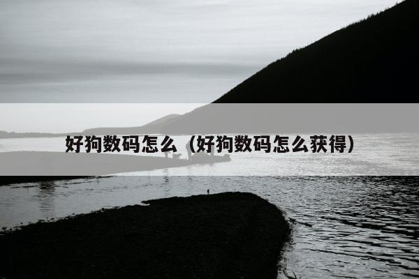 好狗数码怎么（好狗数码怎么获得）