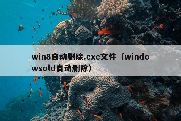 win8自动删除.exe文件（windowsold自动删除）