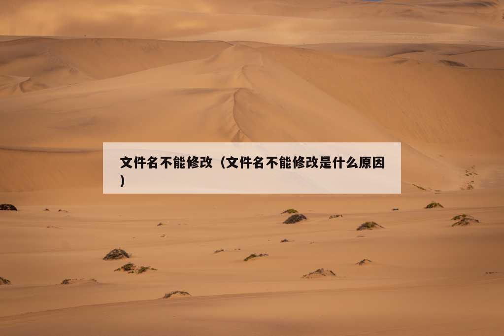 文件名不能修改（文件名不能修改是什么原因）