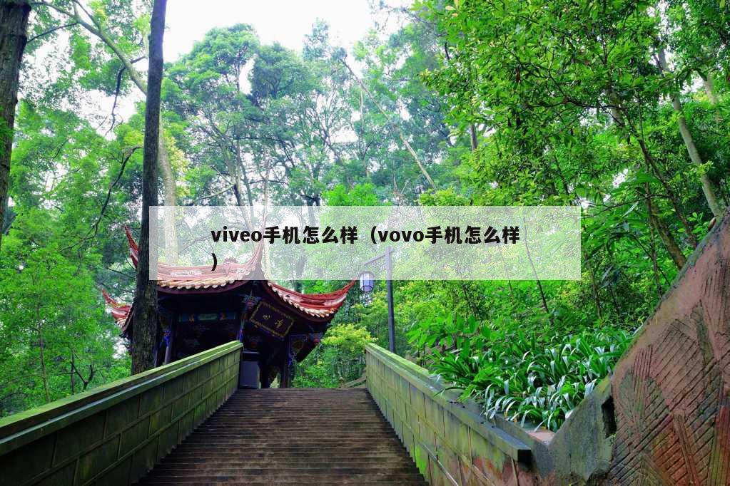 viveo手机怎么样（vovo手机怎么样）