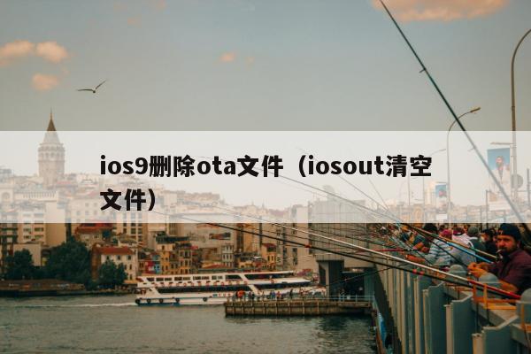 ios9删除ota文件（iosout清空文件）