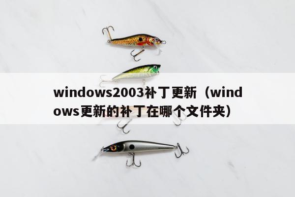 windows2003补丁更新（windows更新的补丁在哪个文件夹）