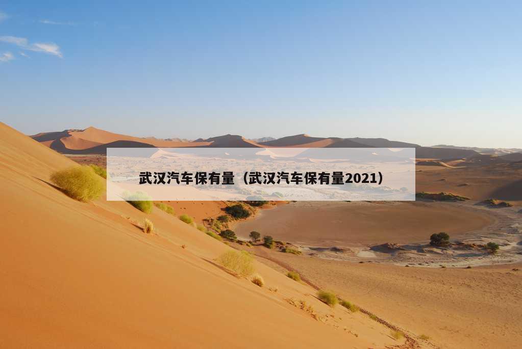 武汉汽车保有量（武汉汽车保有量2021）