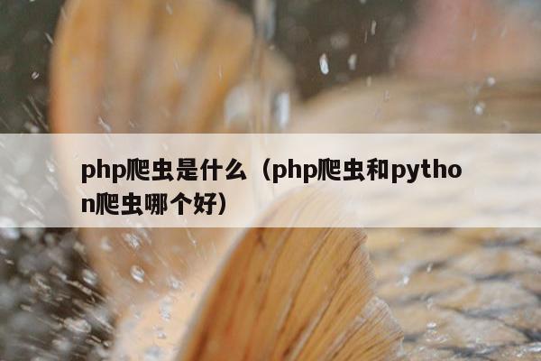 php爬虫是什么（php爬虫和python爬虫哪个好）