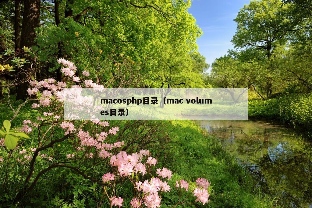 macosphp目录（mac volumes目录）