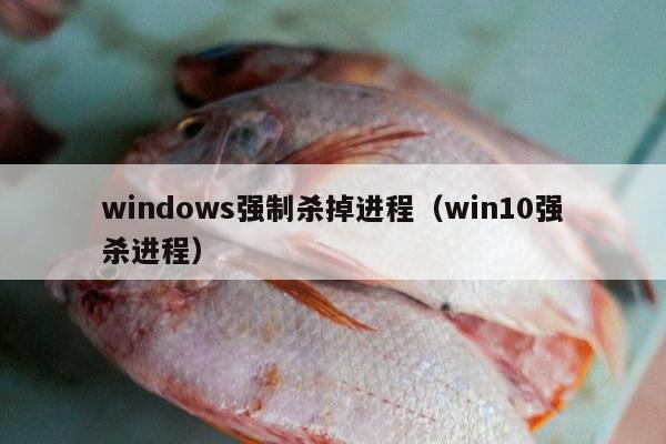 windows强制杀掉进程（win10强杀进程）