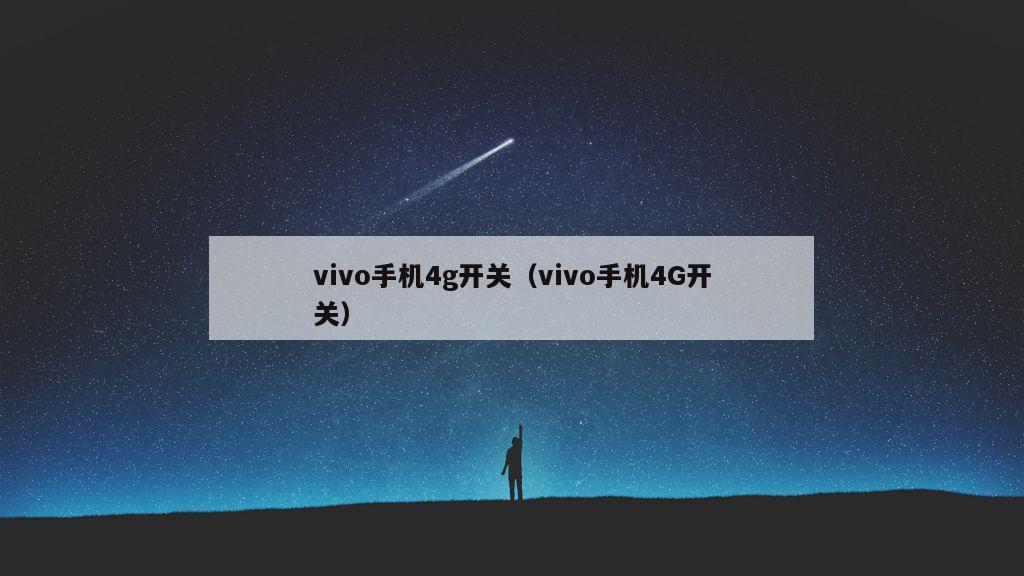 vivo手机4g开关（vivo手机4G开关）