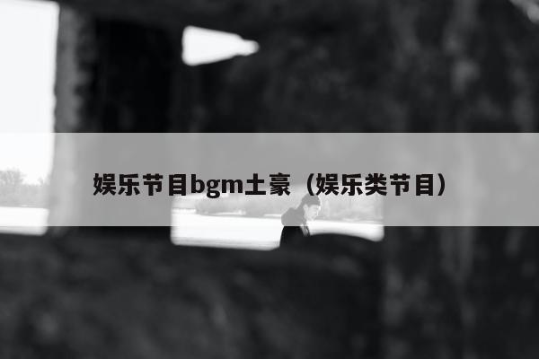 娱乐节目bgm土豪（娱乐类节目）