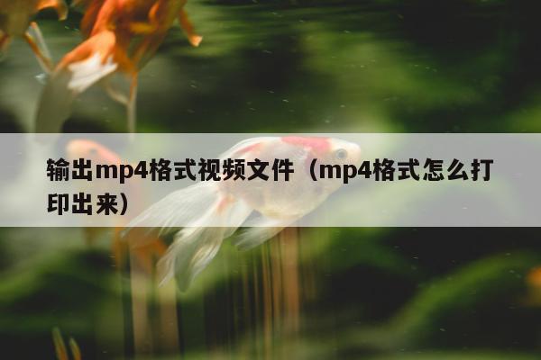 输出mp4格式视频文件（mp4格式怎么打印出来）