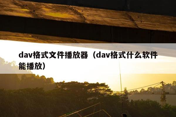 dav格式文件播放器（dav格式什么软件能播放）