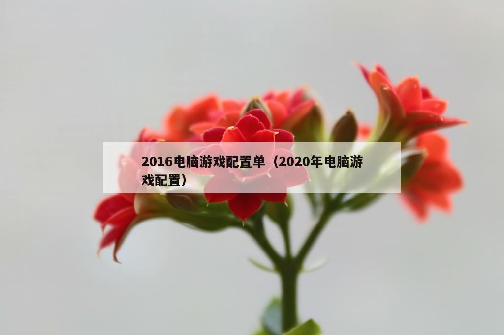 2016电脑游戏配置单（2020年电脑游戏配置）