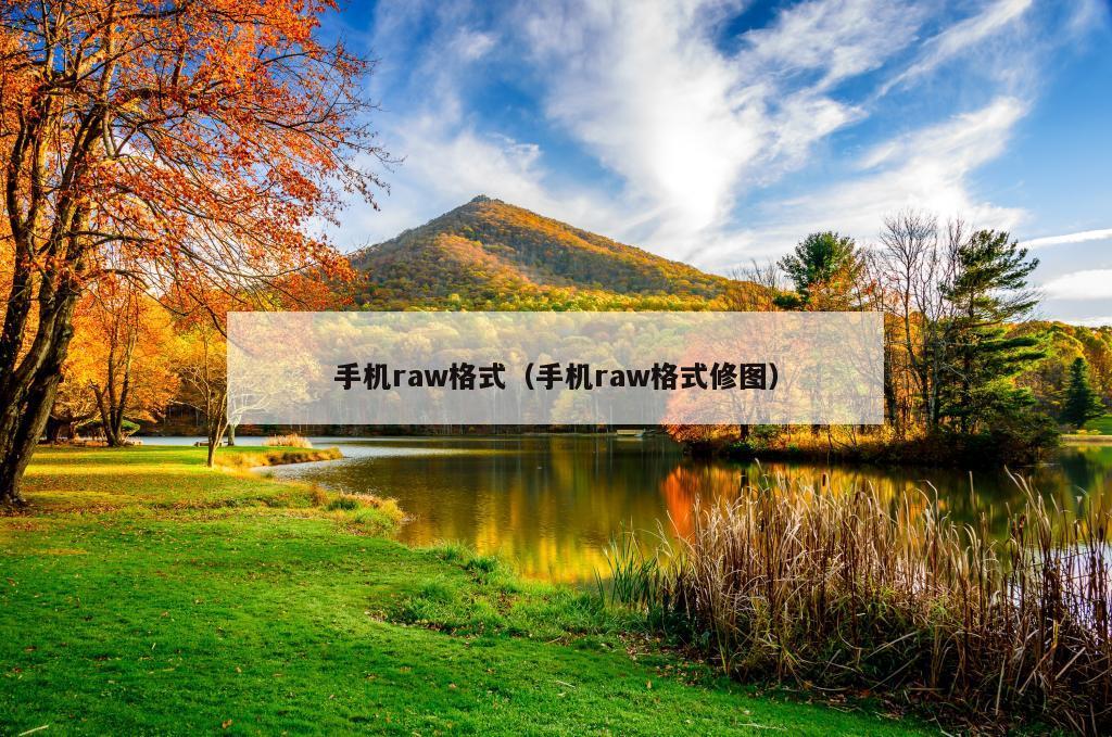 手机raw格式（手机raw格式修图）