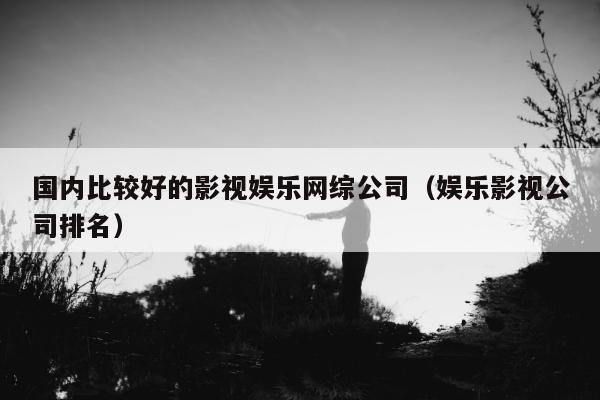 国内比较好的影视娱乐网综公司（娱乐影视公司排名）