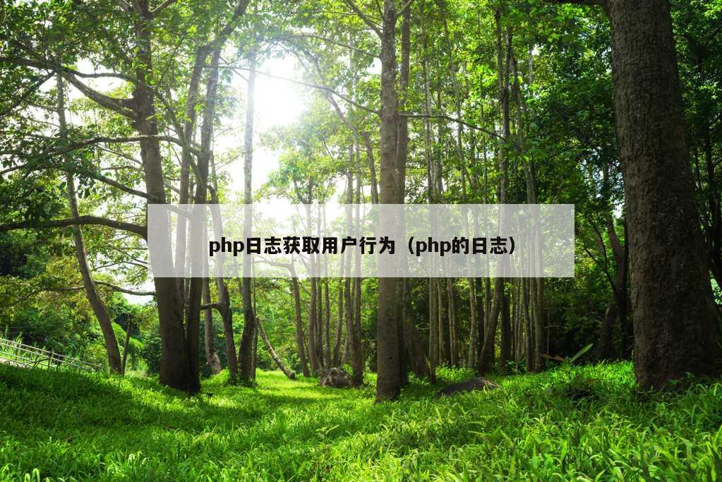 php日志获取用户行为（php的日志）