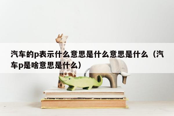 汽车的p表示什么意思是什么意思是什么（汽车p是啥意思是什么）