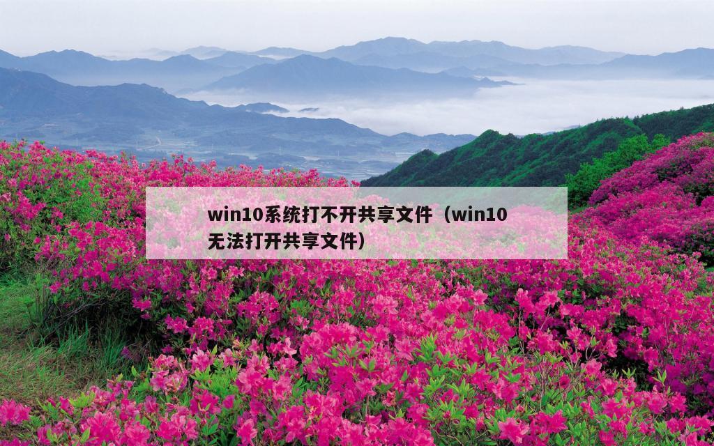 win10系统打不开共享文件（win10无法打开共享文件）