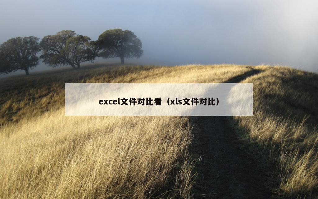 excel文件对比看（xls文件对比）