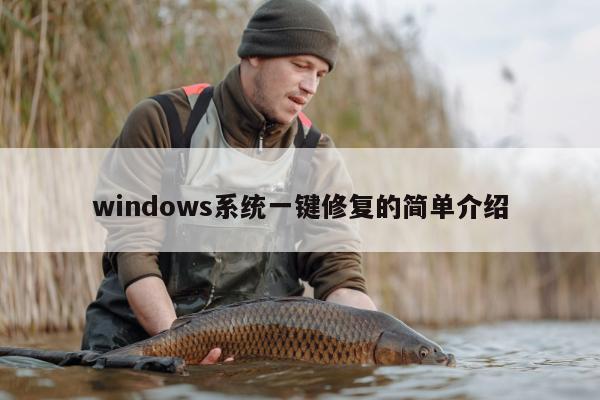 windows系统一键修复的简单介绍