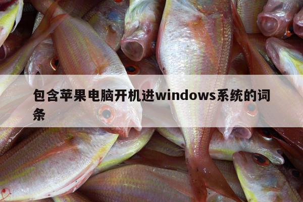 包含苹果电脑开机进windows系统的词条