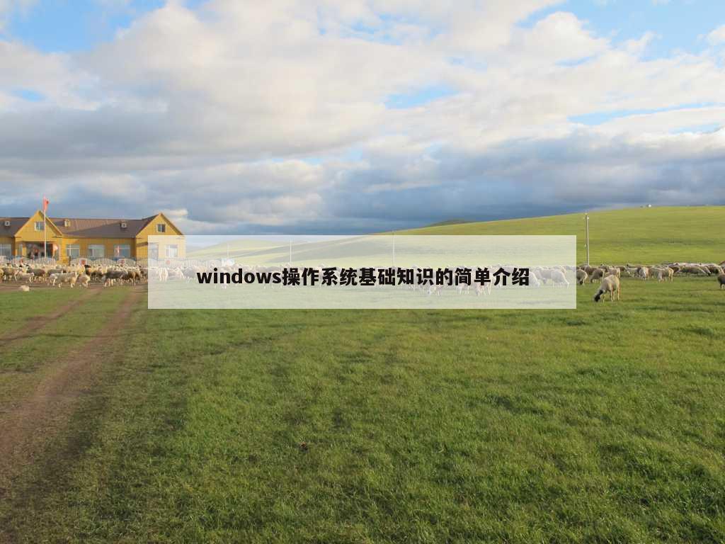 windows操作系统基础知识的简单介绍