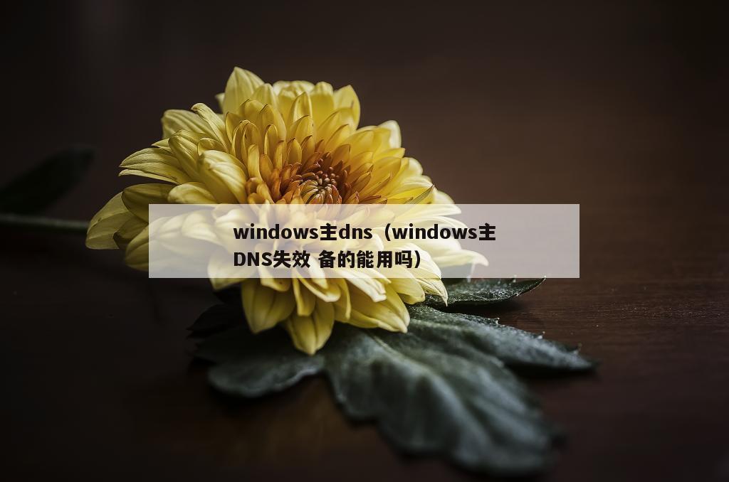 windows主dns（windows主DNS失效 备的能用吗）