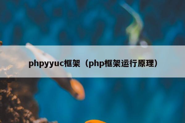 phpyyuc框架（php框架运行原理）