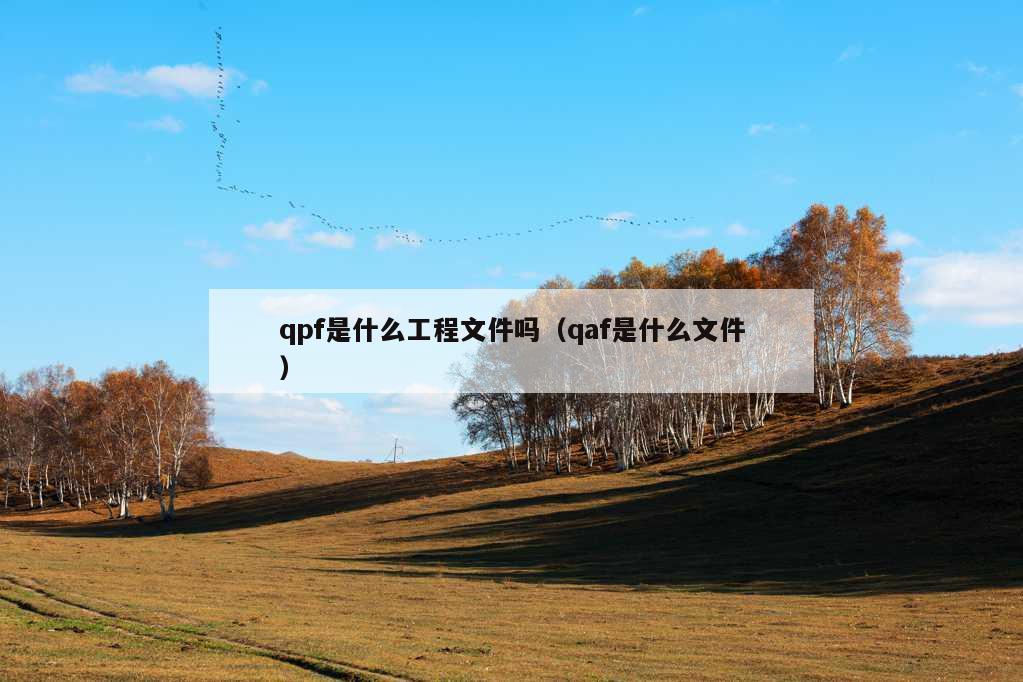 qpf是什么工程文件吗（qaf是什么文件）