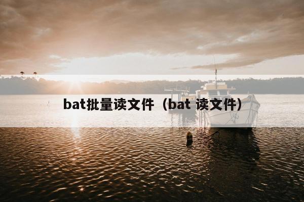 bat批量读文件（bat 读文件）