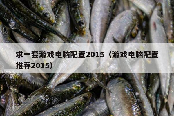 求一套游戏电脑配置2015（游戏电脑配置推荐2015）