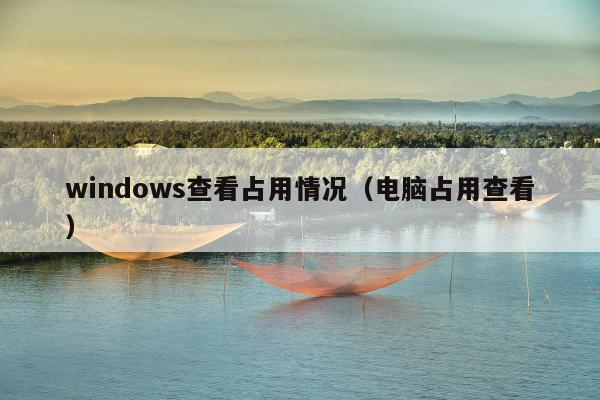 windows查看占用情况（电脑占用查看）