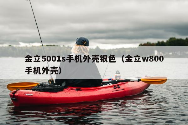 金立5001s手机外壳银色（金立w800手机外壳）