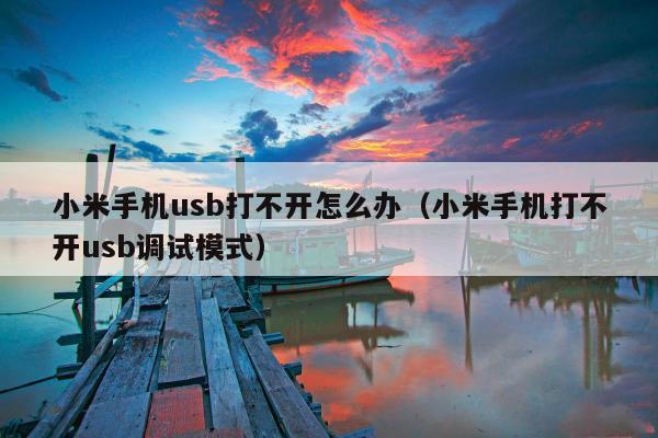 小米手机usb打不开怎么办（小米手机打不开usb调试模式）