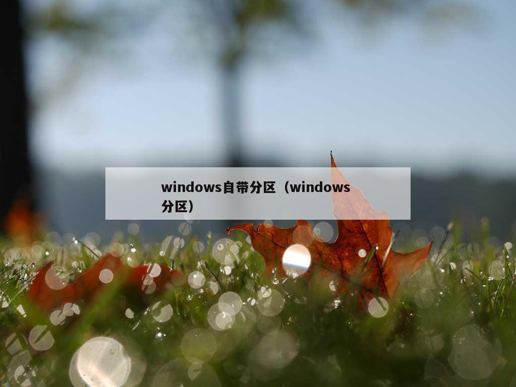 windows自带分区（windows 分区）