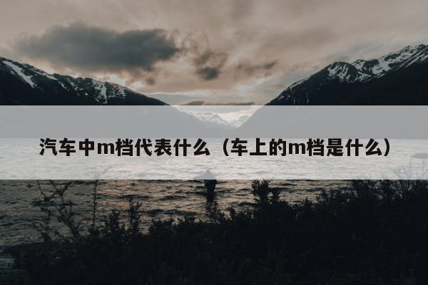 汽车中m档代表什么（车上的m档是什么）