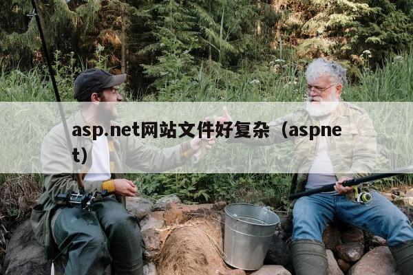 asp.net网站文件好复杂（aspnet）