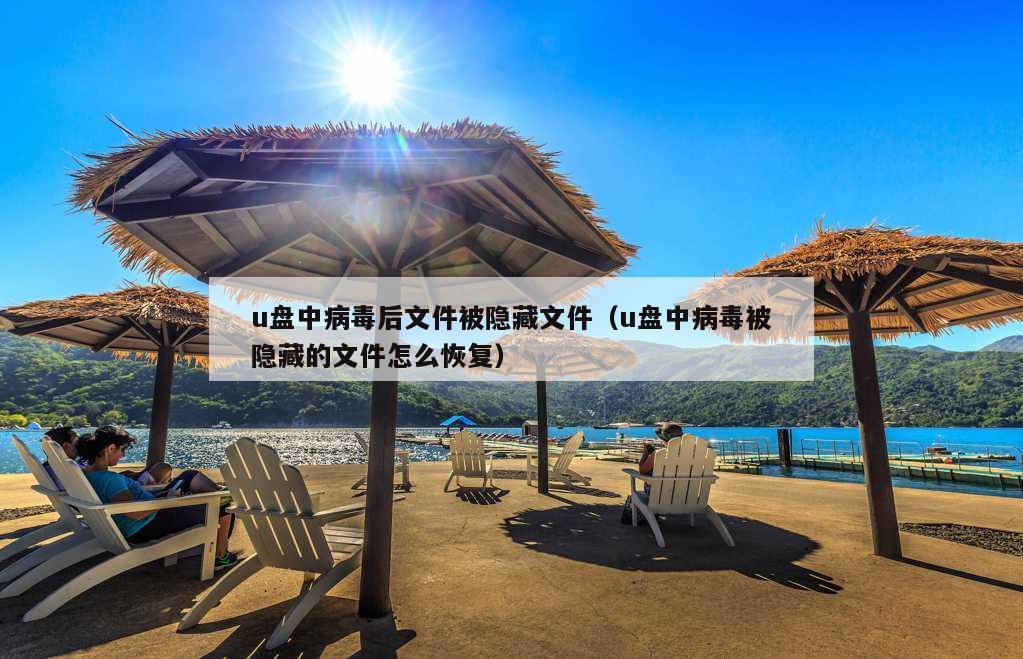 u盘中病毒后文件被隐藏文件（u盘中病毒被隐藏的文件怎么恢复）