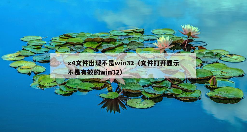 x4文件出现不是win32（文件打开显示不是有效的win32）