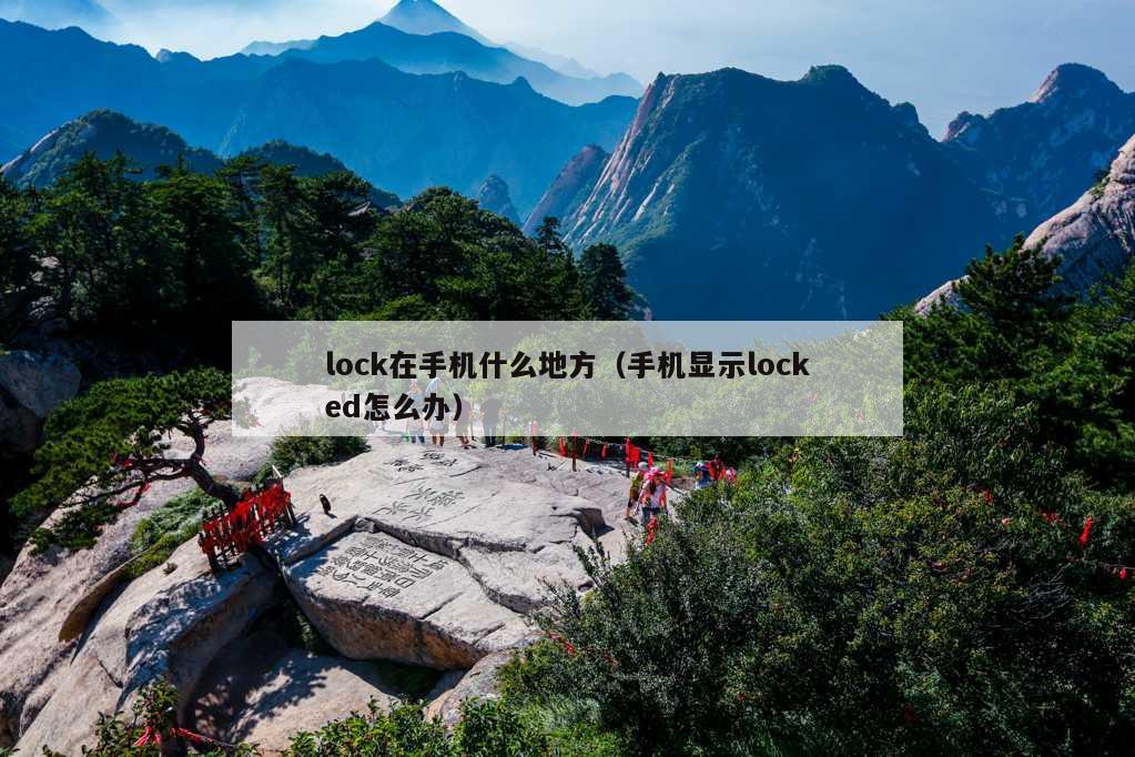 lock在手机什么地方（手机显示locked怎么办）