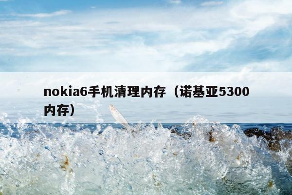 nokia6手机清理内存（诺基亚5300内存）